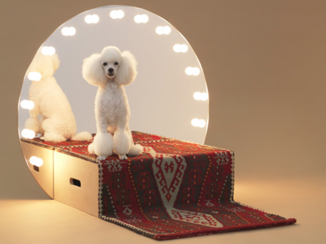 S&P MidCap 400 Dividend Dogs Are Led By Real Estate Gains In July - Seeking Alpha
