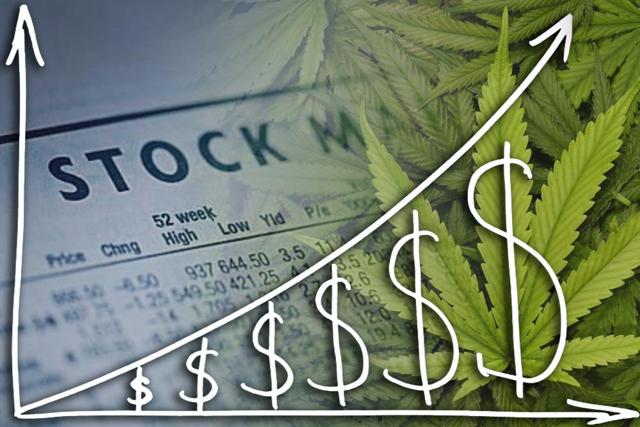 Marijuana stocks ipo news articles fortune