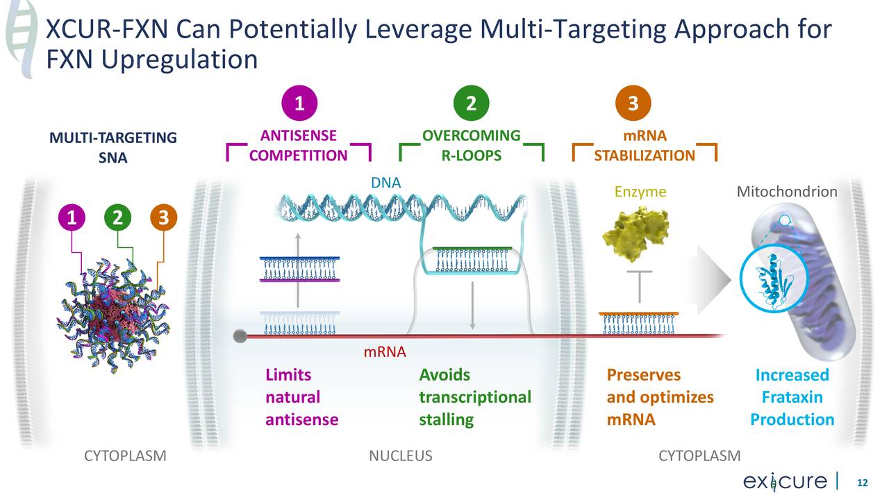 Revisiting The Investment Thesis On Exicure (NASDAQ:XCUR) | Seeking Alpha