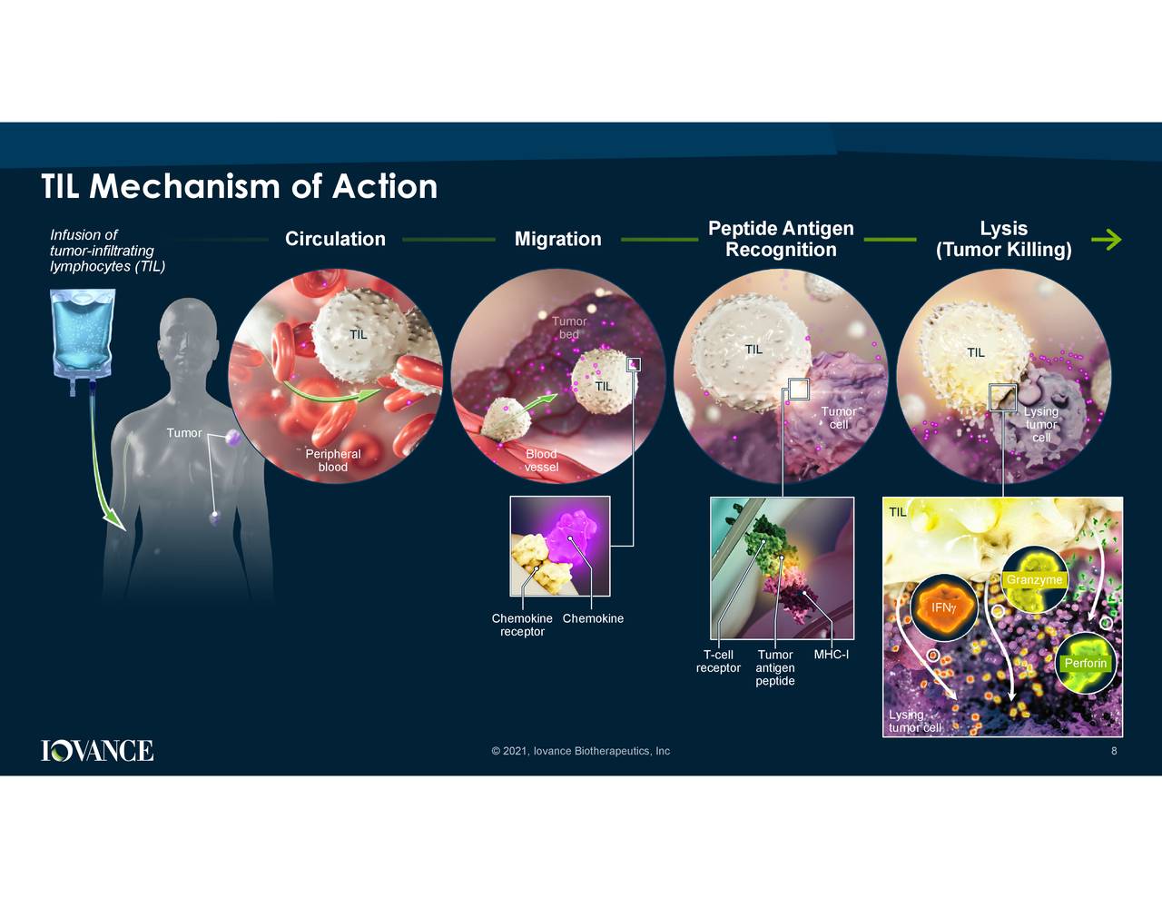 Revisiting Iovance Biotherapeutics After The Dip (NASDAQ:IOVA ...