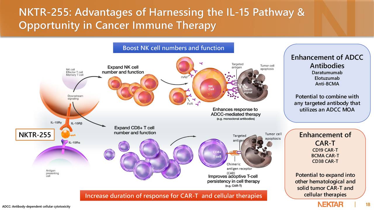 Nektar Therapeutics (NKTR) Presents At 38th Annual J.P. Morgan ...