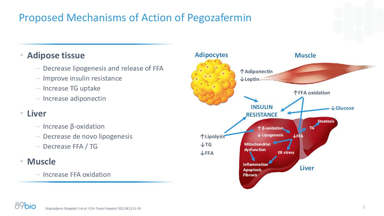 89bio (ETNB) Investor Presentation - Slideshow (NASDAQ:ETNB) | Seeking ...