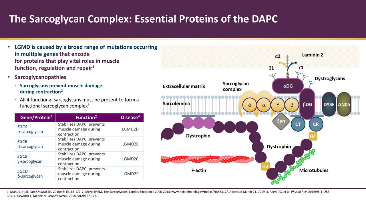 Sarepta Therapeutics (SRPT) Presents At Annual Meeting of the American
