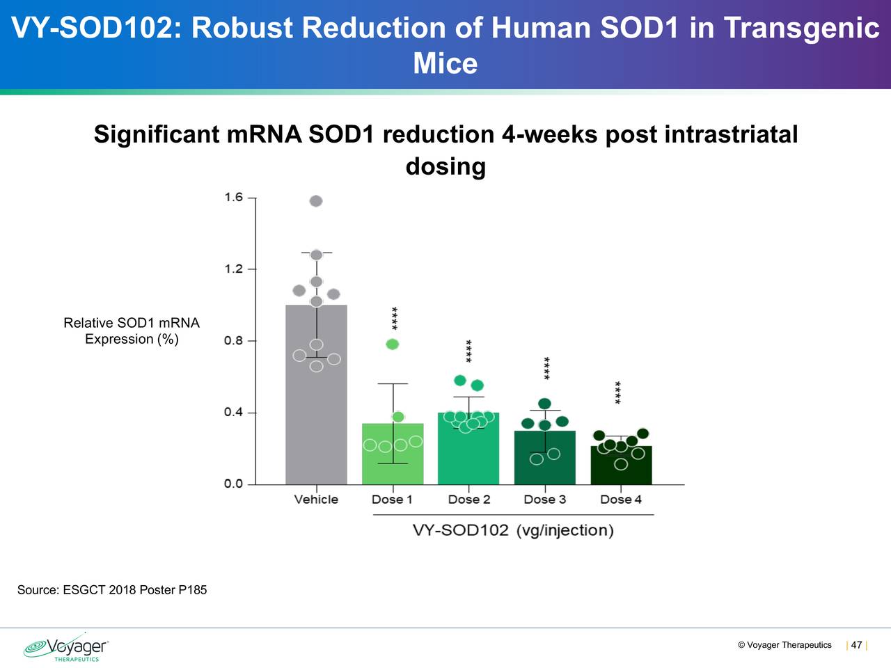 VY-SOD102: Robust Reduction of Human SOD1 in Transgenic