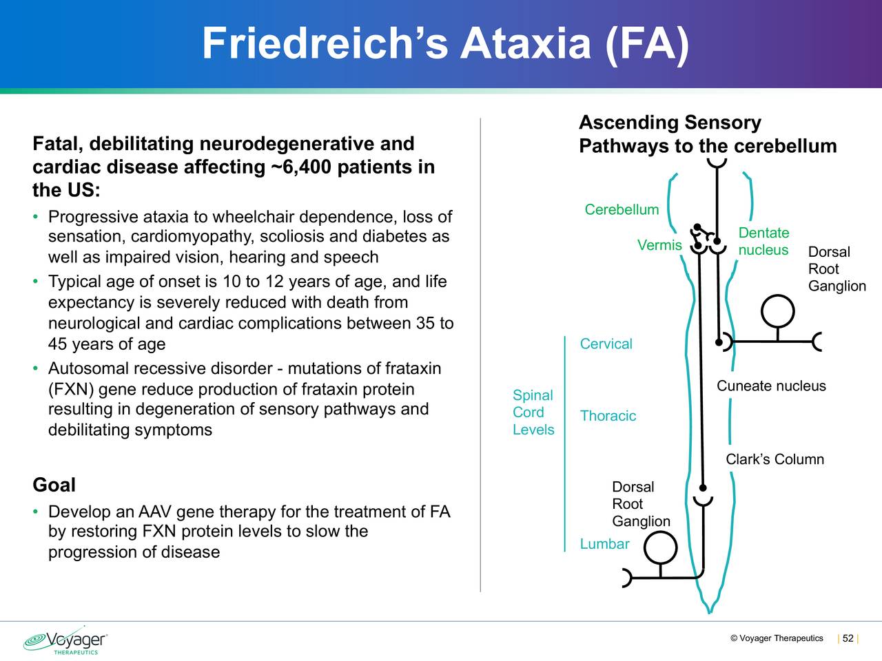 Friedreich’s Ataxia (FA)