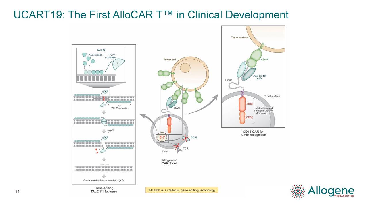 UCART19: The First AlloCAR T™ in Clinical Development