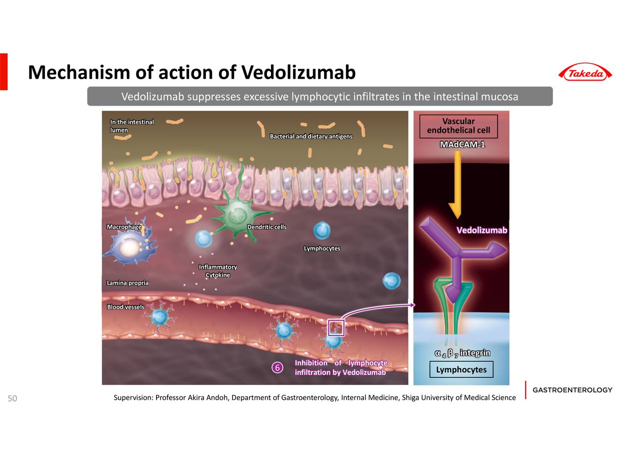 Takeda Pharmaceutical (TAK) Presents On Inflammatory Bowel Disease ...