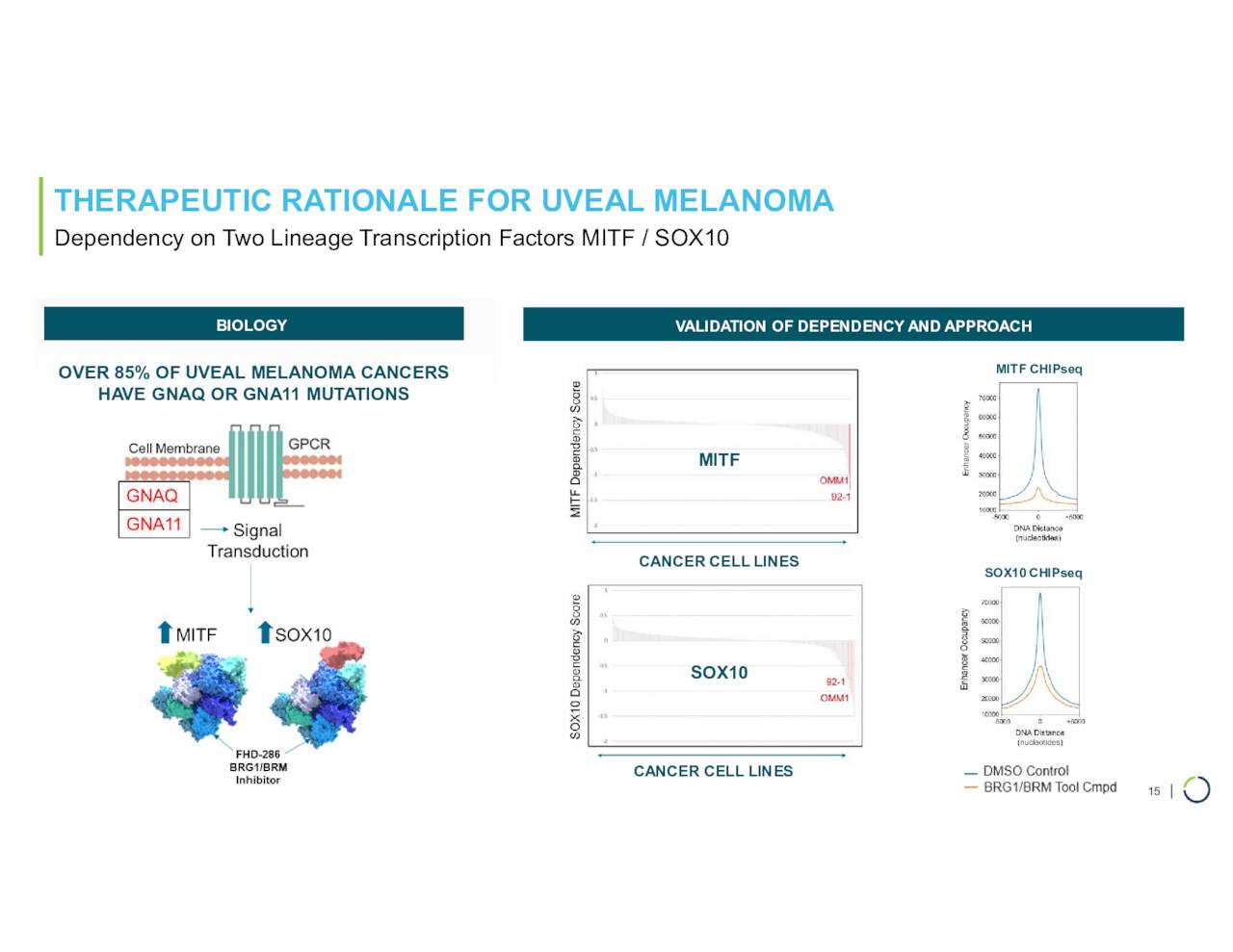 THERAPEUTIC RATIONALE FOR UVEAL MELANOMA