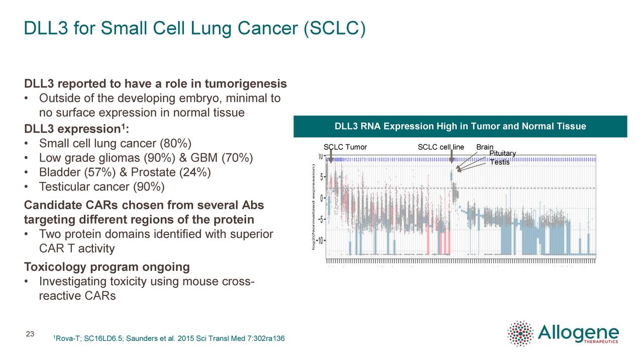 DLL3 for Small Cell Lung Cancer (SCLC)