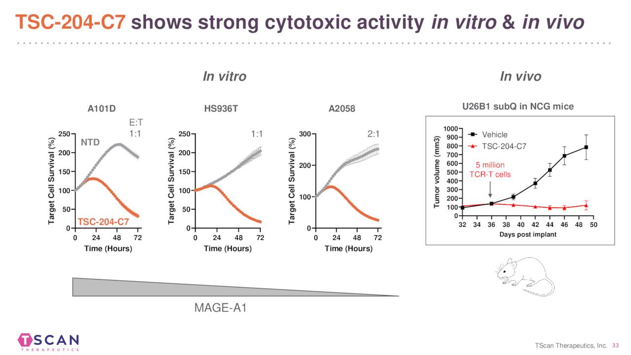 TScan Therapeutics (TCRX) Investor Presentation - Slideshow (NASDAQ ...