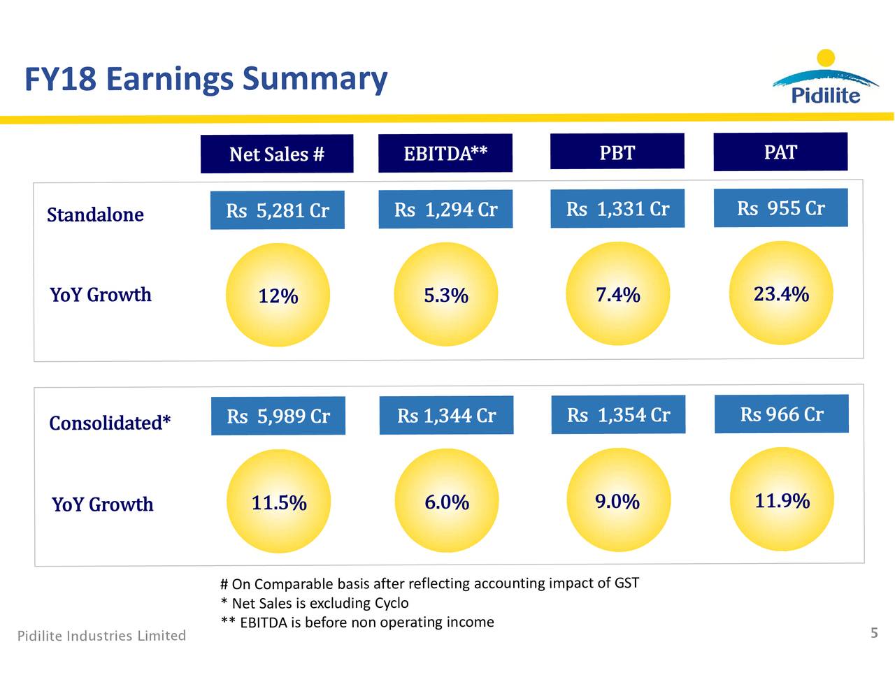 Pidilite Industries Ltd Adr 2018 Q4 Results Earnings Call Slides