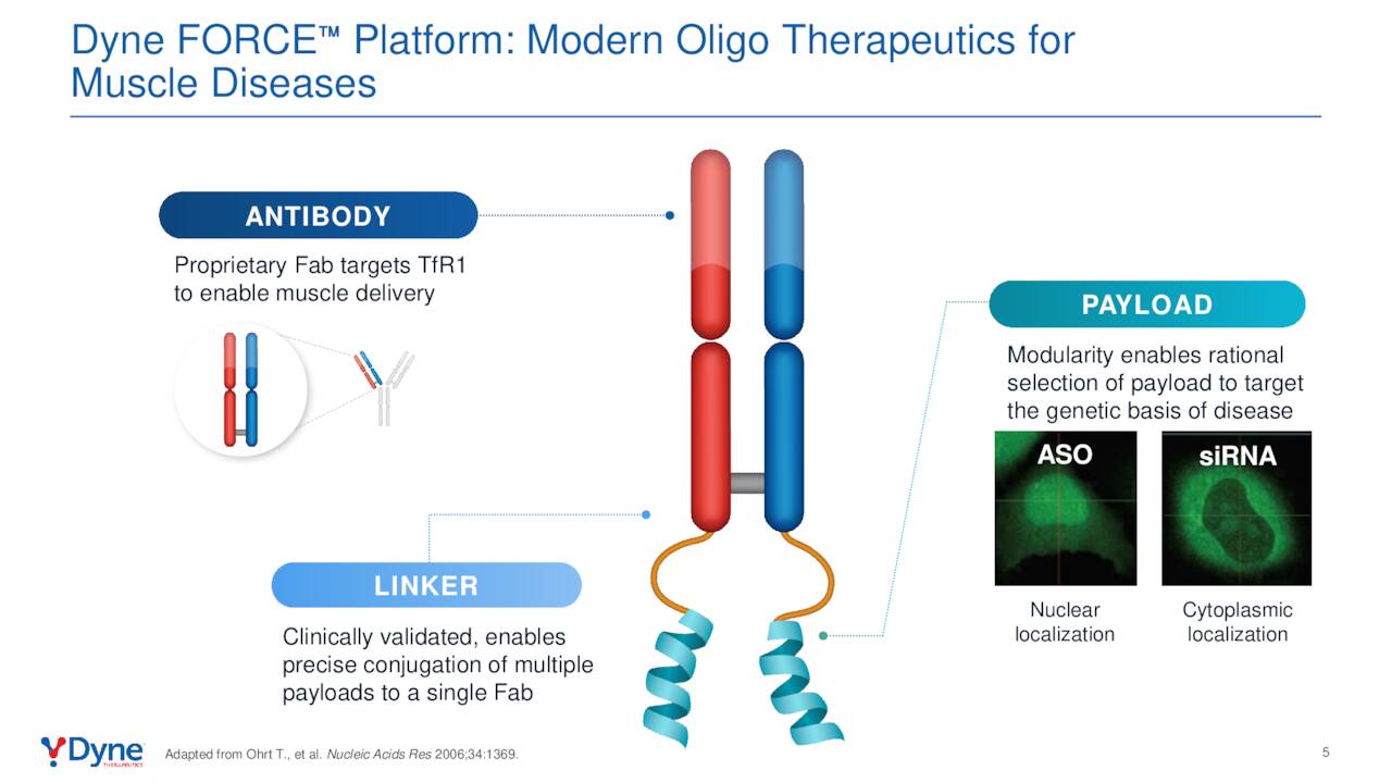 Dyne FORCE™ Platform: Modern Oligo Therapeutics for