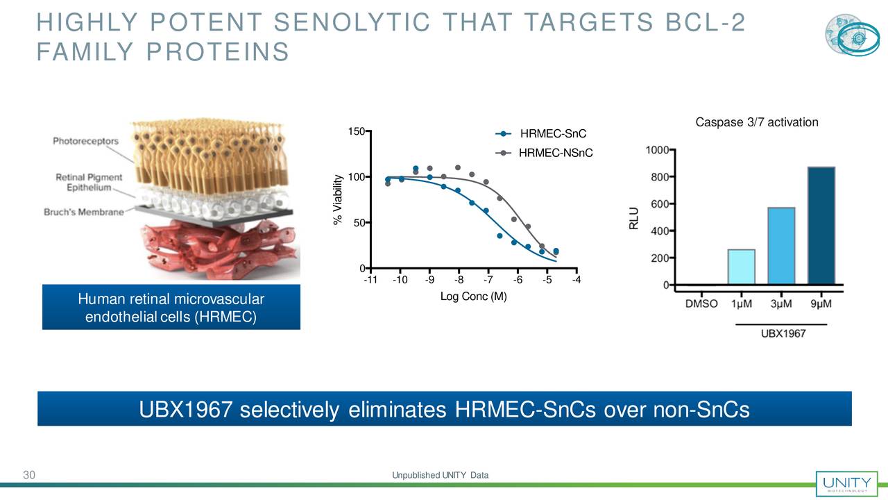 HIGHLY POTENT SENOLYTIC THAT TARGETS BCL-2