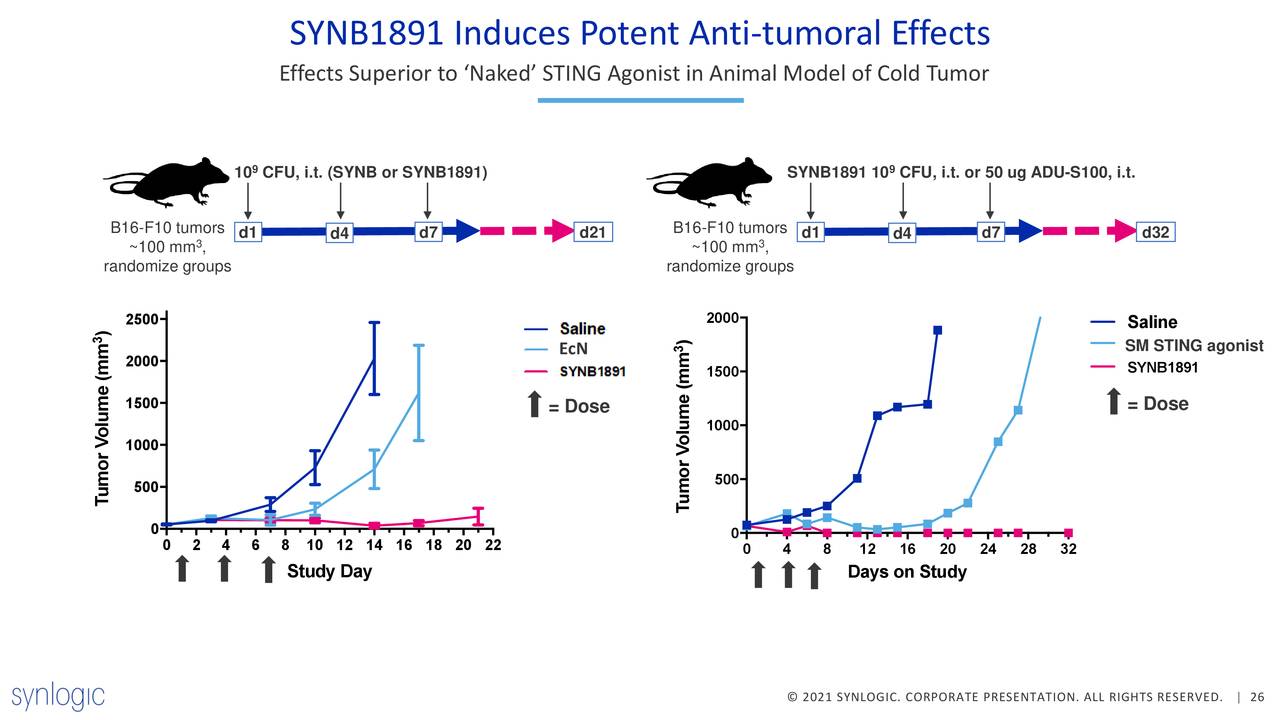 SYNB1891 Induces Potent Anti-tumoral Effects