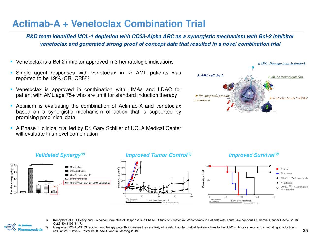 Actinium Pharmaceuticals (ATNM) Investor Presentation - Slideshow (NYSE ...