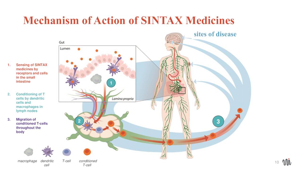 Sintax - Mechanism of action