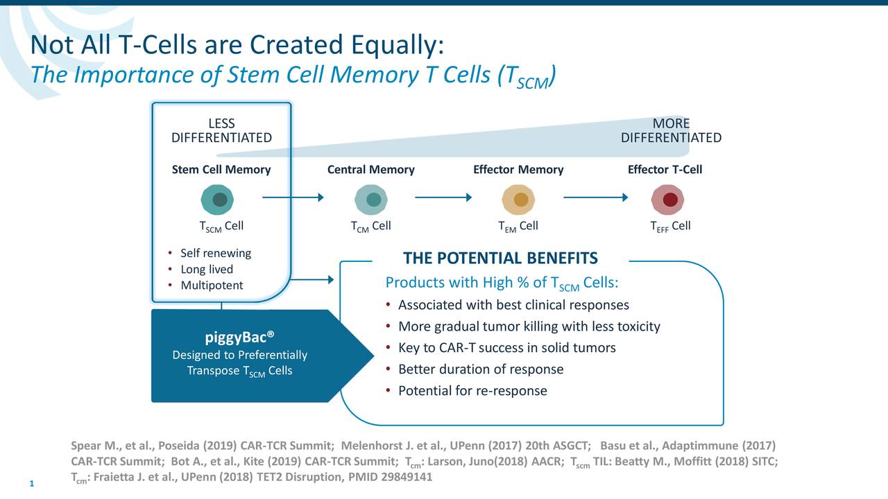 Not All T-Cells are Created Equally: