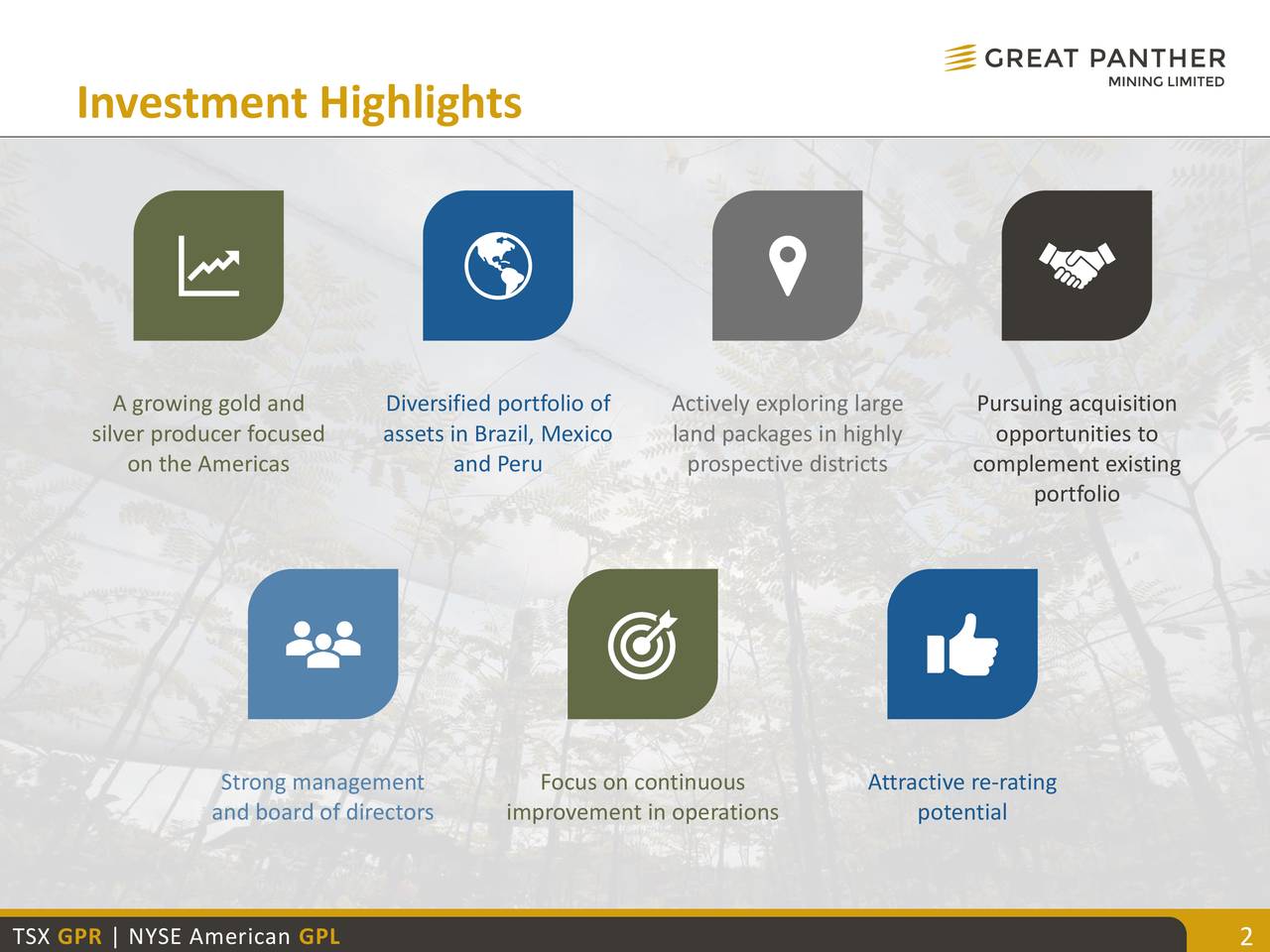 Investment Highlights