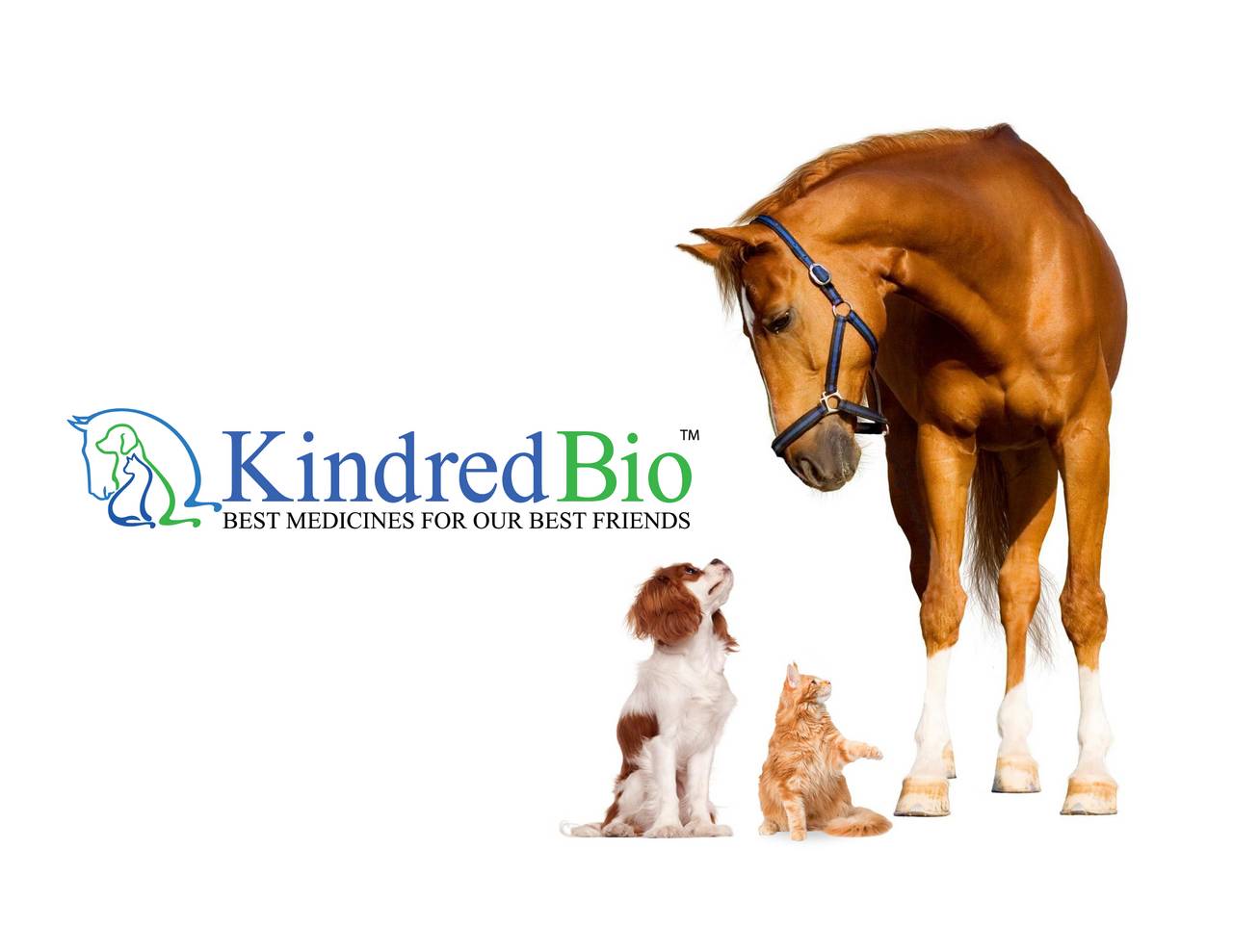 Kindred Biosciences, Inc. 2017 Q1 Results Earnings Call Slides